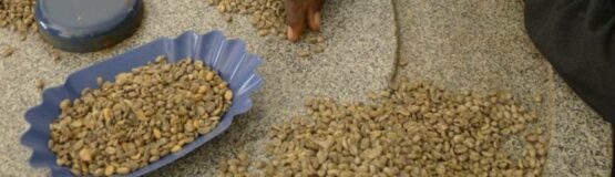 Pourquoi choisir un café équitable pour une expérience authentique ?