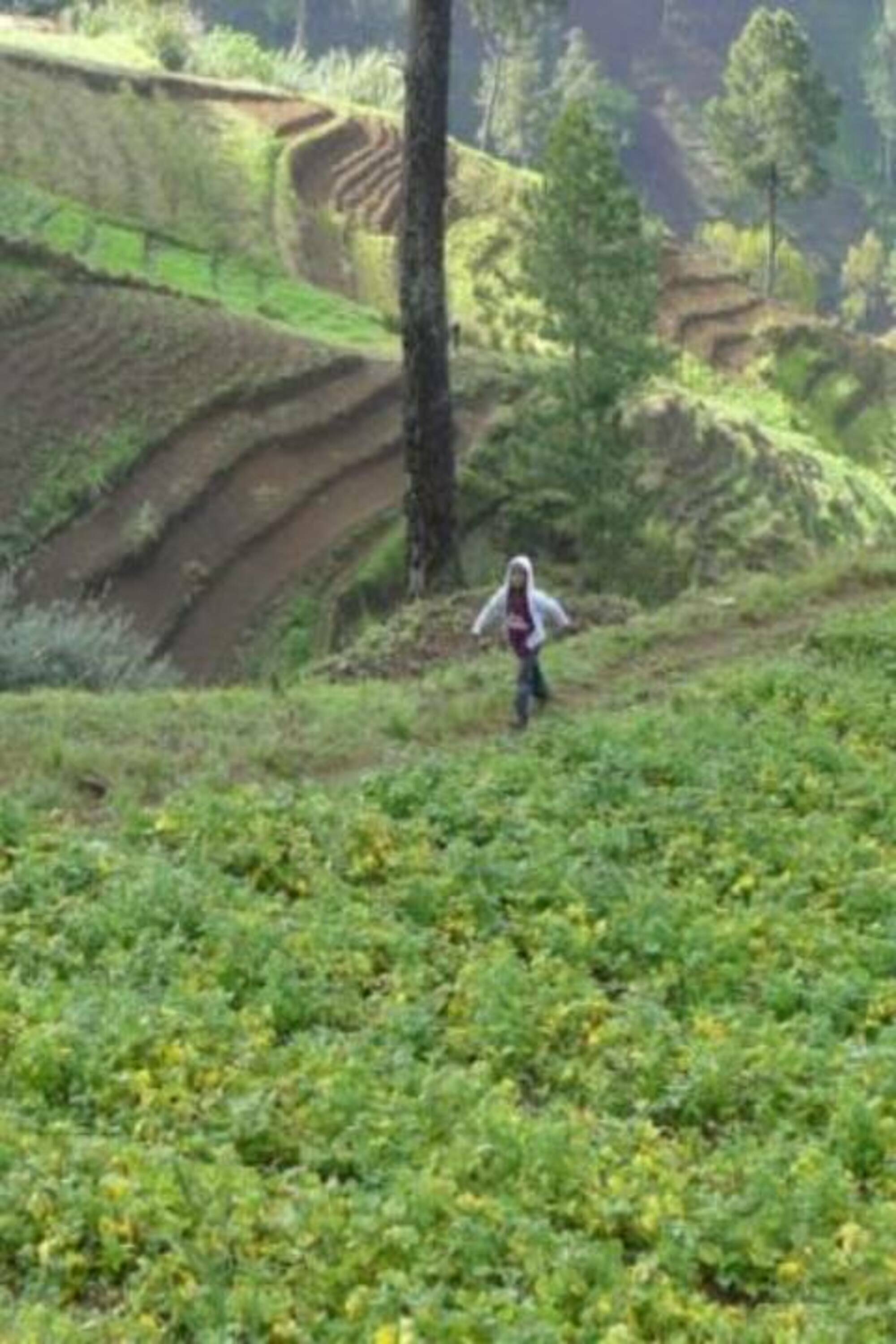 Sense Coffee Haïtien