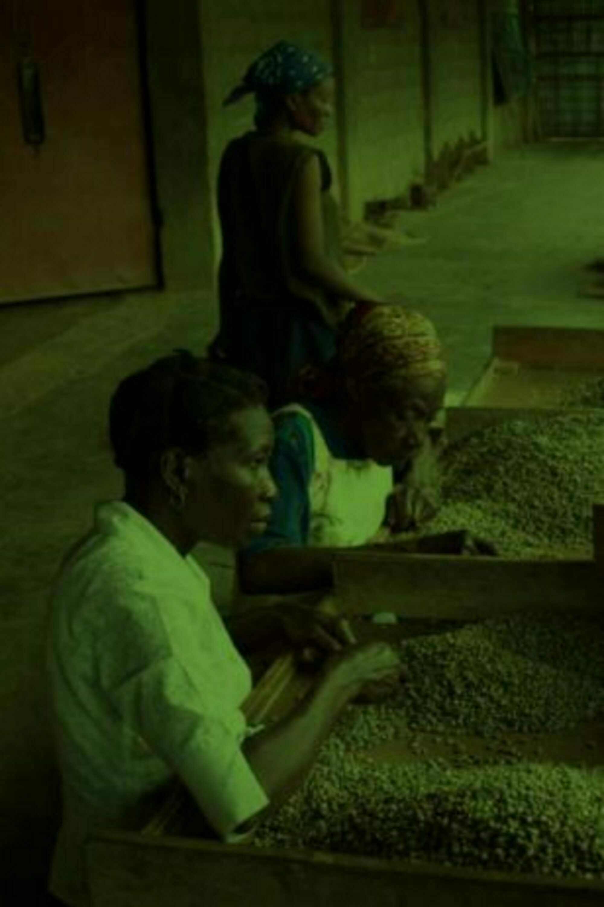 Sense Coffee Torréfaction Haïti