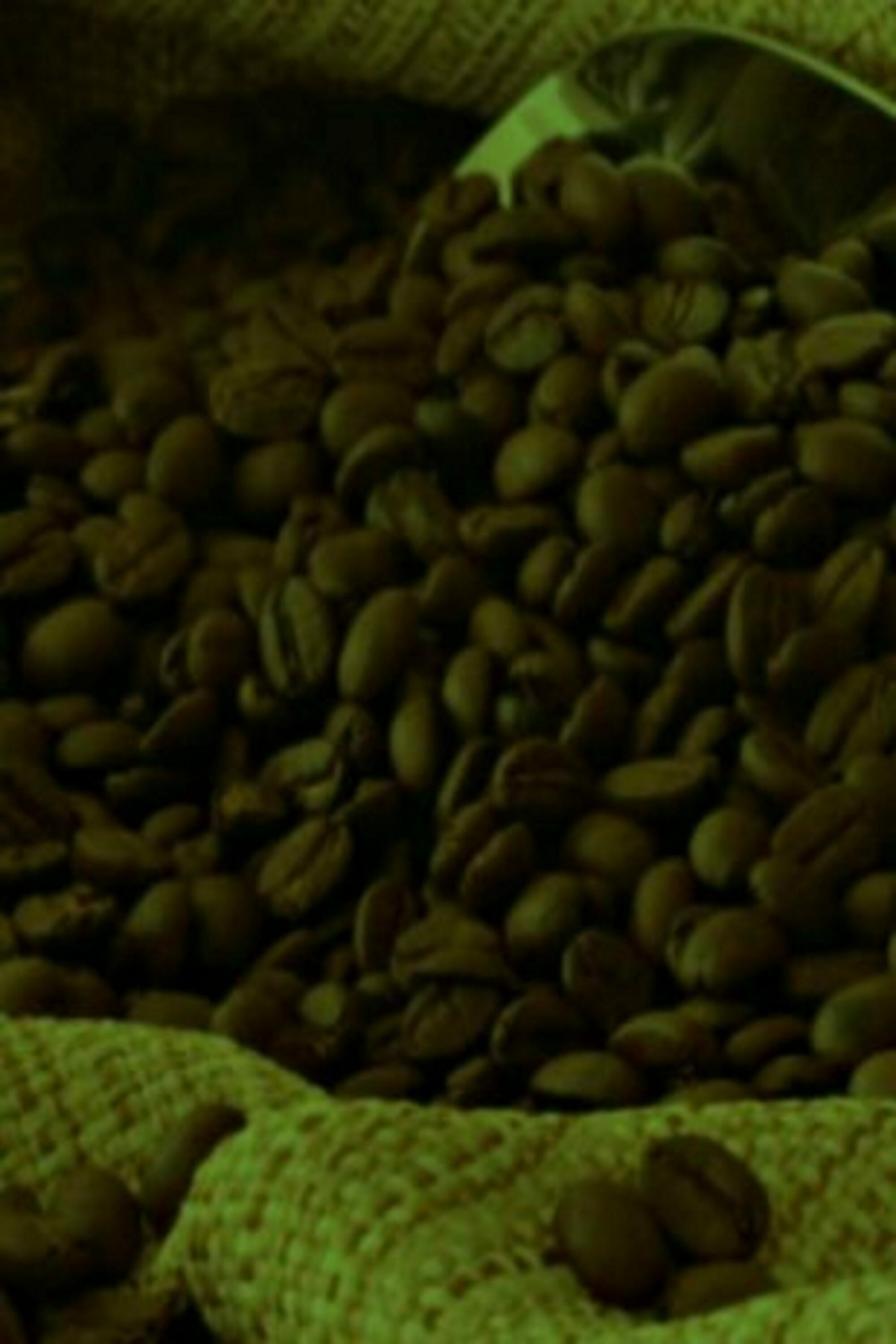 Sense Coffee Torréfaction Haïtien