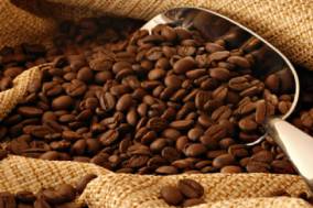 Sense Coffee : l'Intensité du café