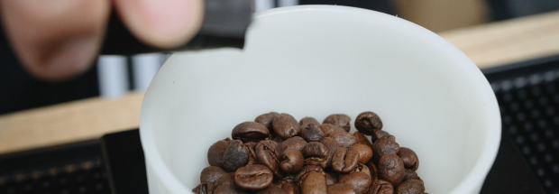 Cafés en grains torréfaction avec Sense Coffee