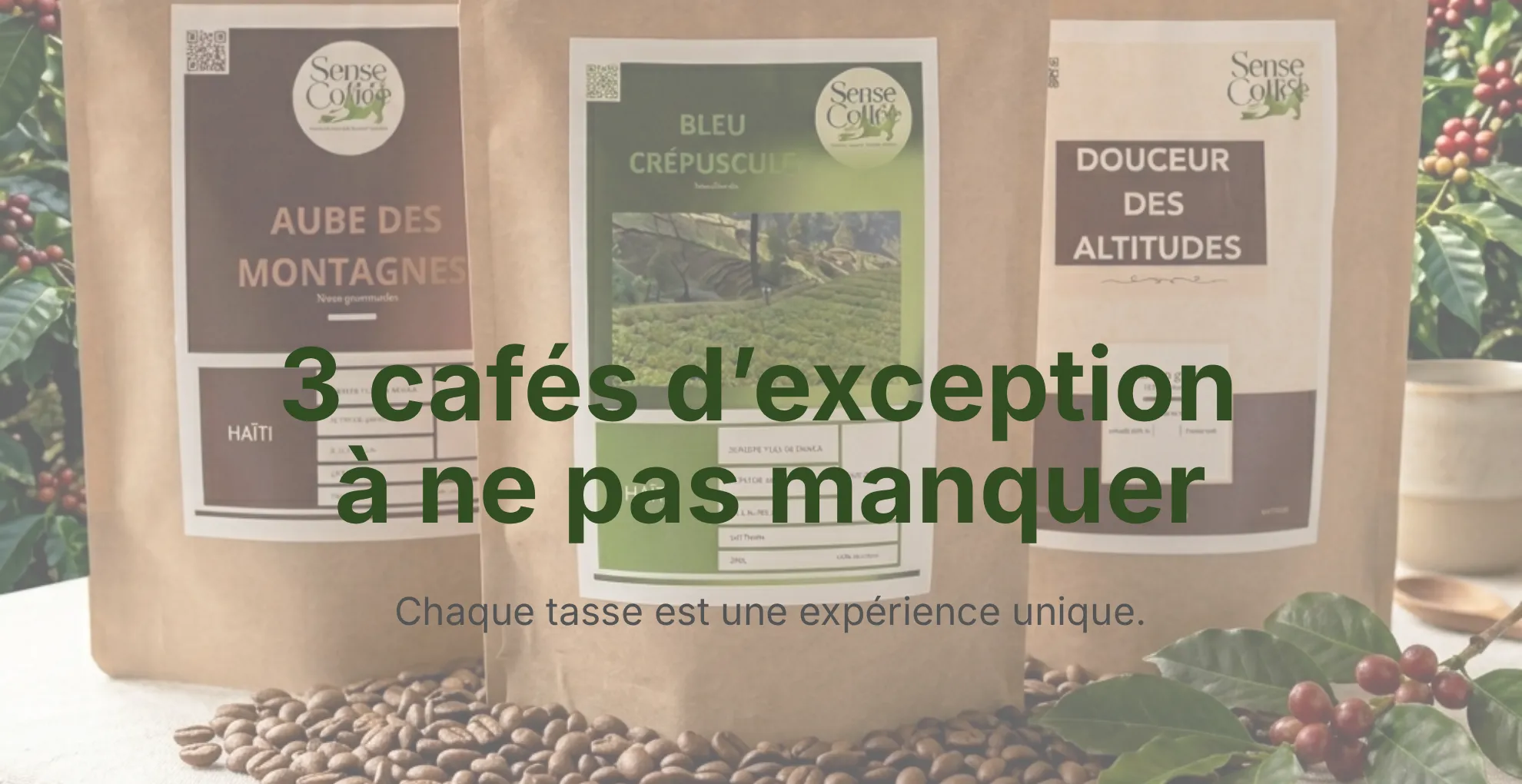 3 cafés d'exception à ne pas manquer venant d'Haitie