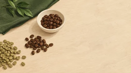 Grains de café verts et torréfiés présentés dans un atelier sobre