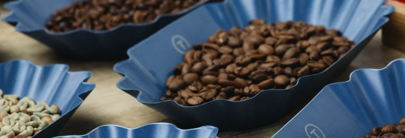 Cafés en grains engagés pour la torréfaction